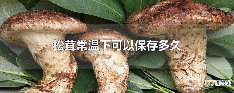 松茸常温下可以保存多久