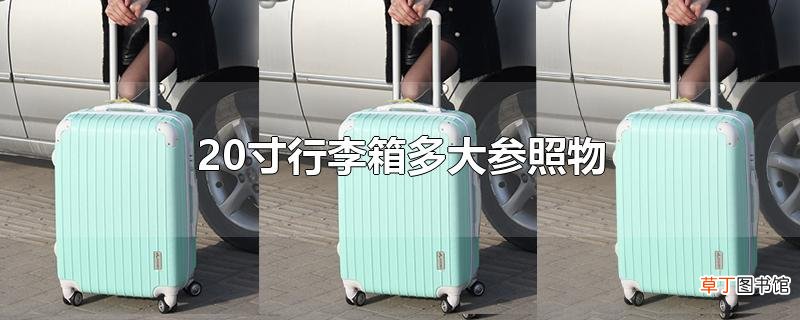 20寸行李箱多大参照物