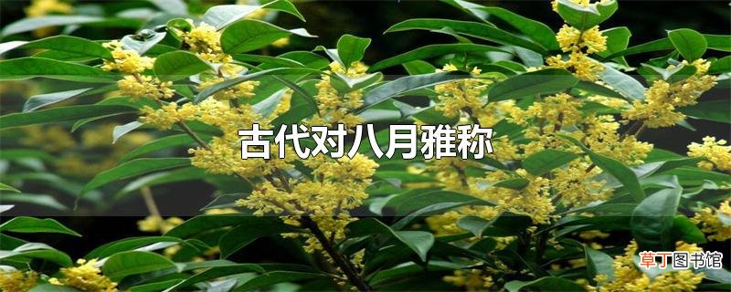 古代对八月雅称