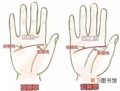 断掌有什么说法 断掌是什么意思
