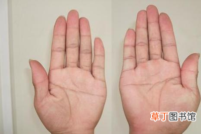 断掌有什么说法 断掌是什么意思