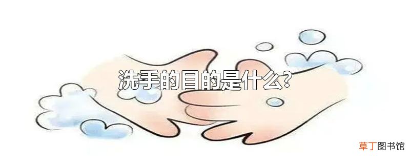 洗手的目的是什么?