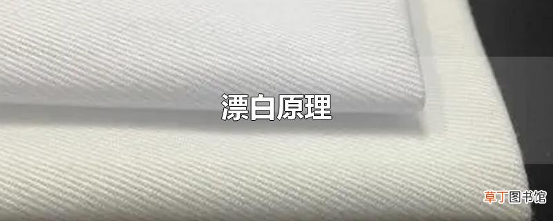 漂白原理