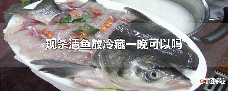 现杀活鱼放冷藏一晚可以吗