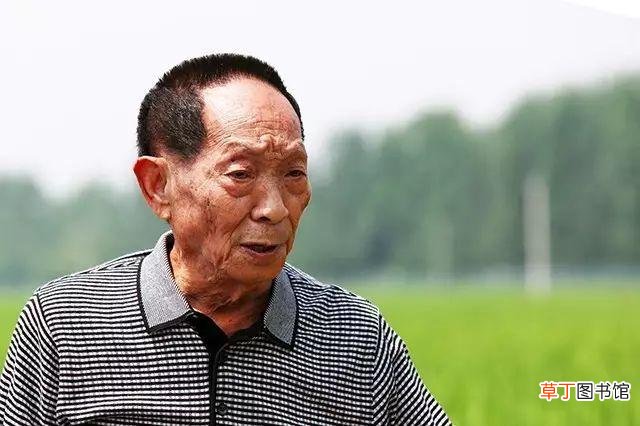为袁隆平写一段赞美词 致敬袁隆平的一段话