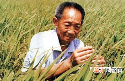 为袁隆平写一段赞美词 致敬袁隆平的一段话