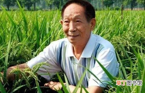 为袁隆平写一段赞美词 致敬袁隆平的一段话