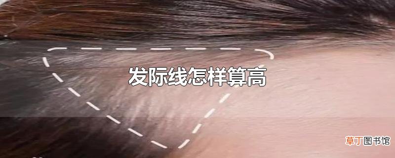 发际线怎样算高