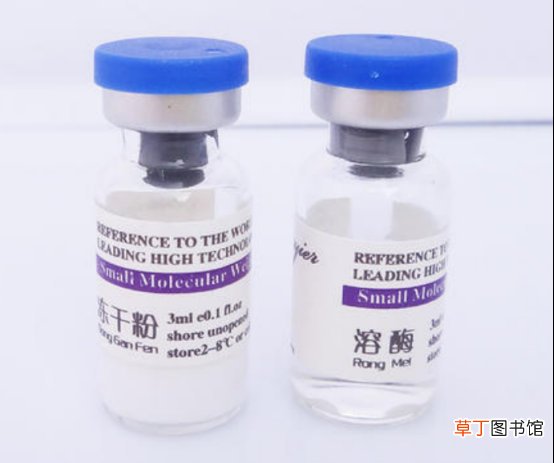冻干粉和精华都有哪些区别