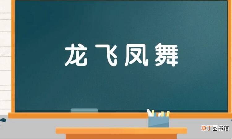 什么飞什么舞成语有哪些