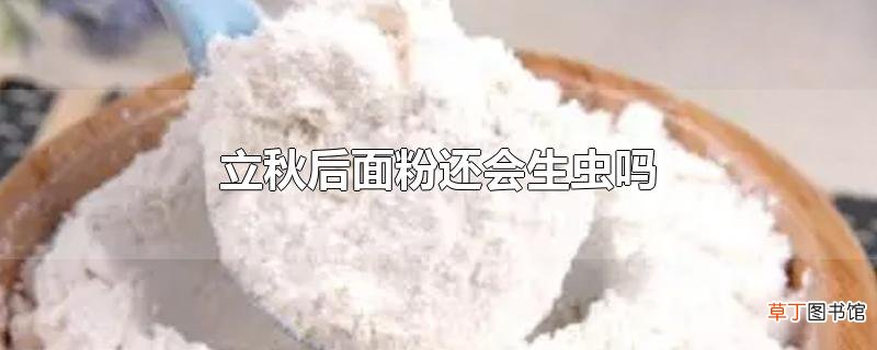 立秋后面粉还会生虫吗