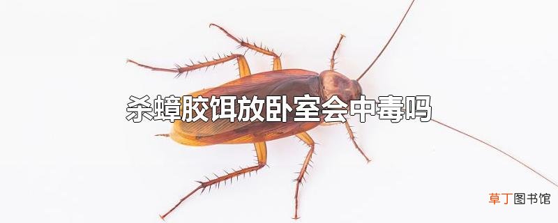 杀蟑胶饵放卧室会中毒吗
