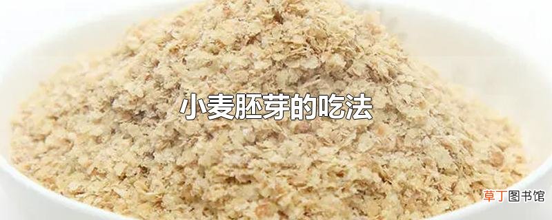 小麦胚芽的吃法
