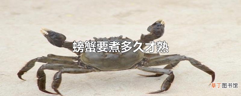 螃蟹要煮多久才熟