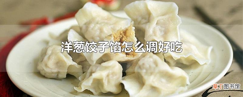洋葱饺子馅怎么调好吃