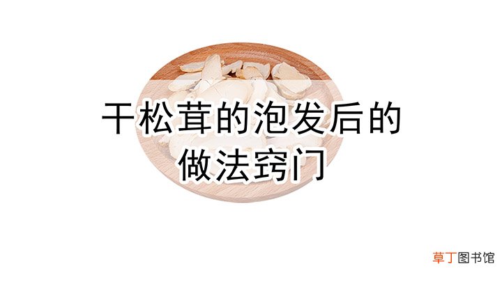 干松茸怎么泡发和清洗