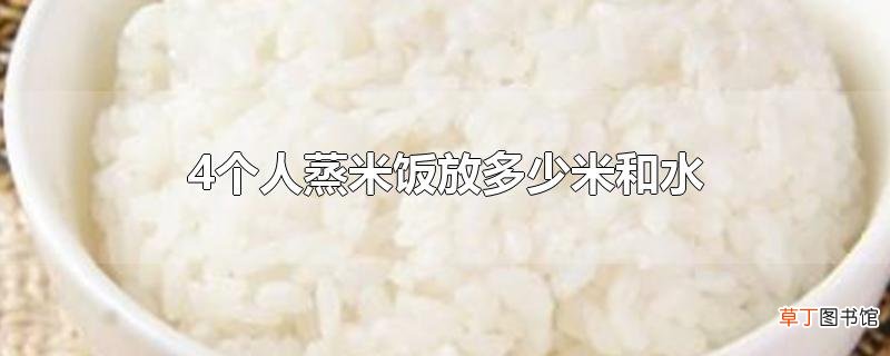 4个人蒸米饭放多少米和水