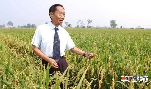 袁隆平简介及主要事迹 袁隆平今年多少岁了2021年