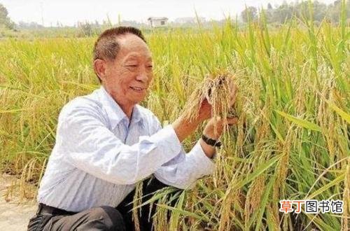 袁隆平简介及主要事迹 袁隆平今年多少岁了2021年
