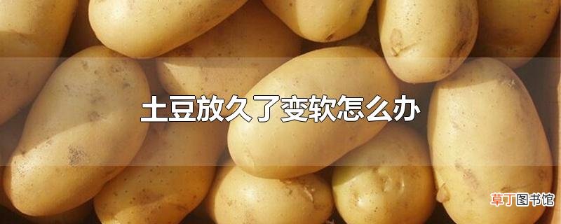 土豆放久了变软怎么办