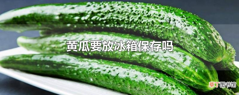黄瓜要放冰箱保存吗