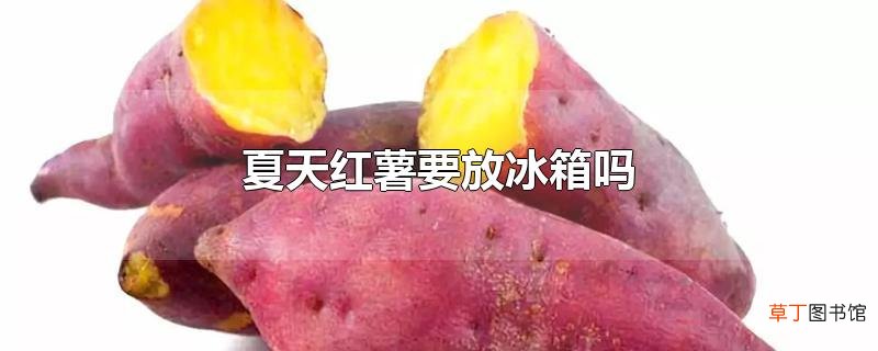 夏天红薯要放冰箱吗