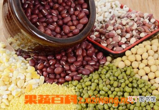 粗纤维的食物有哪些 哪些食物是富含粗纤维的