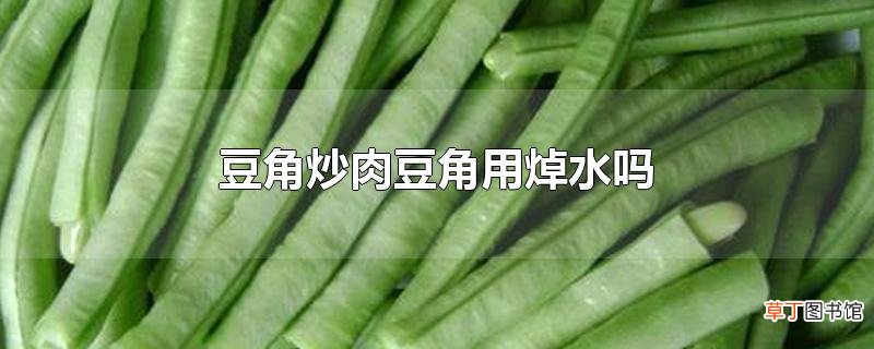 豆角炒肉豆角用焯水吗
