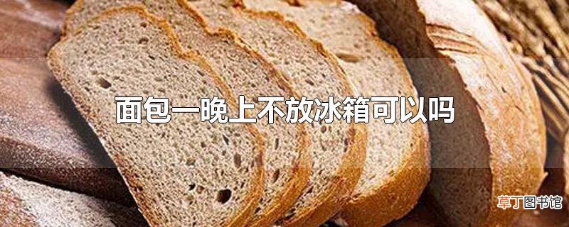 面包一晚上不放冰箱可以吗