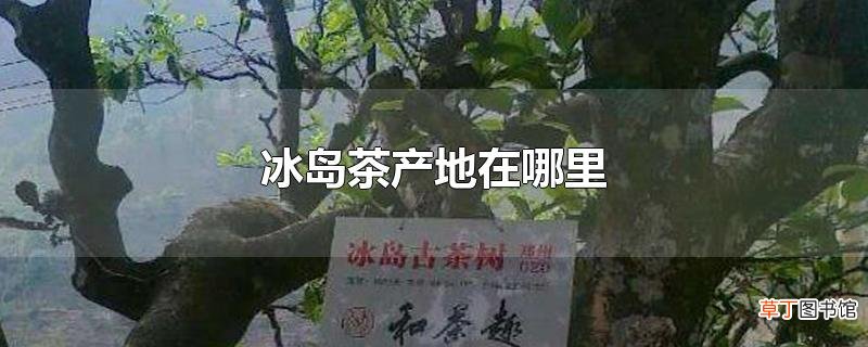 冰岛茶产地在哪里