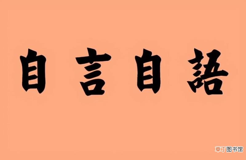 如何训练猫 猫咪的各种动作图解