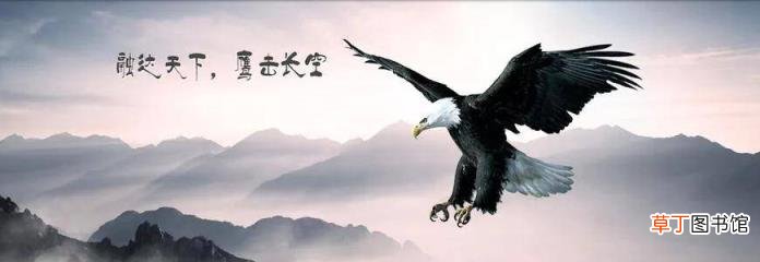 如何训练羽毛球基本功 怎么练好羽毛球
