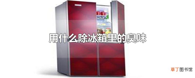 用什么除冰箱里的臭味