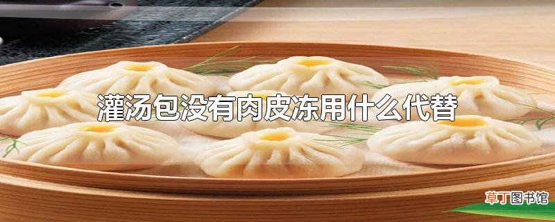 灌汤包没有肉皮冻用什么代替