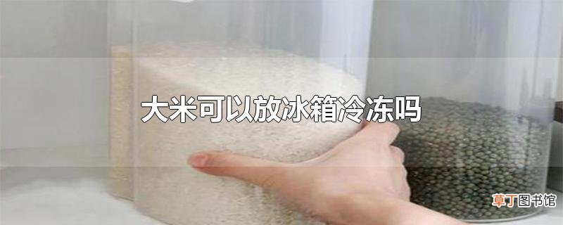 大米可以放冰箱冷冻吗