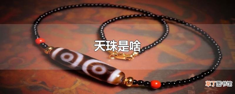天珠是啥