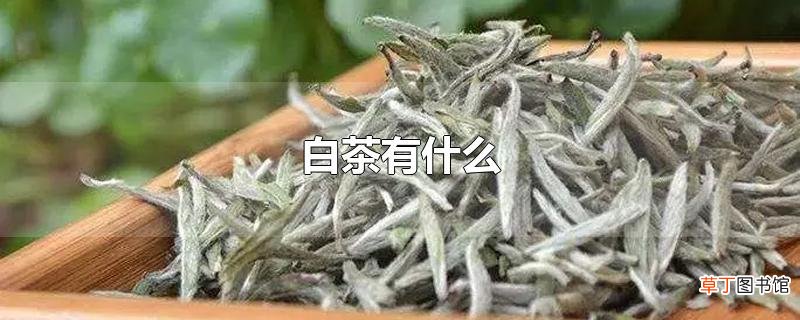 白茶有什么