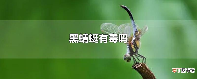 黑蜻蜓有毒吗