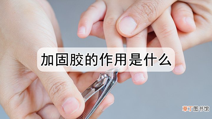加固胶的作用是什么