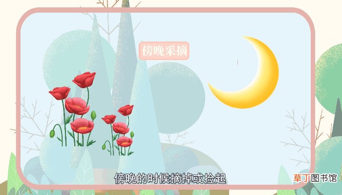 朝花夕拾的意思 朝花夕拾的意思是什么