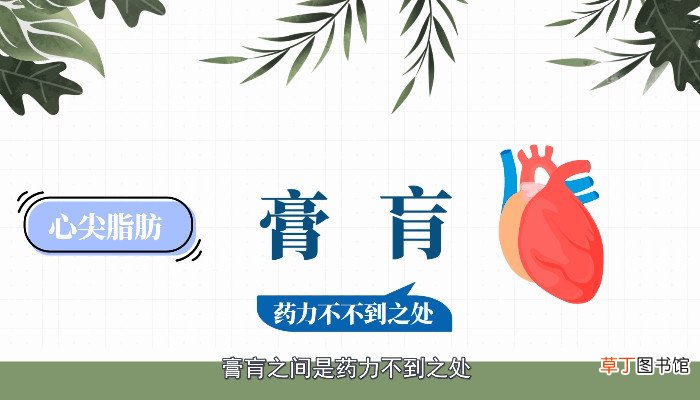 病入膏肓是什么意思病入膏肓有什么意思