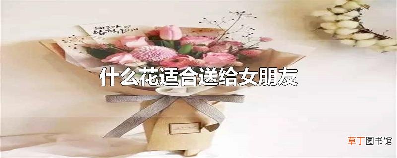什么花适合送给女朋友