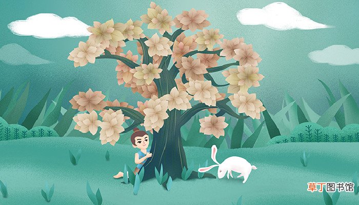 守株待兔告诉我们什么道理 守株待兔告诉我们的道理是什么