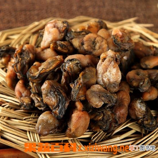 牡蛎怎么吃 牡蛎的食用禁忌有哪些