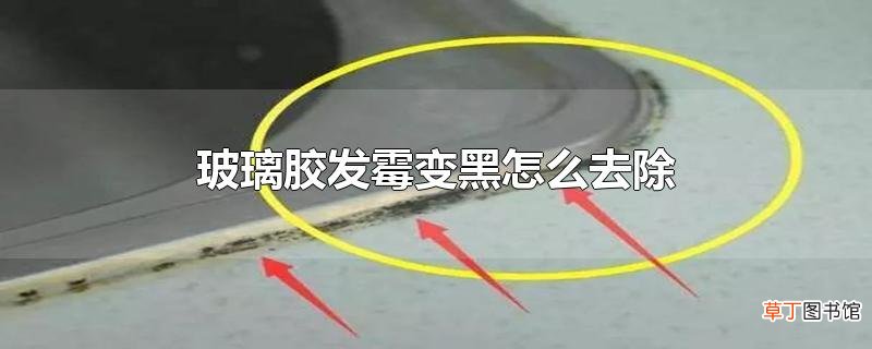 玻璃胶发霉变黑怎么去除
