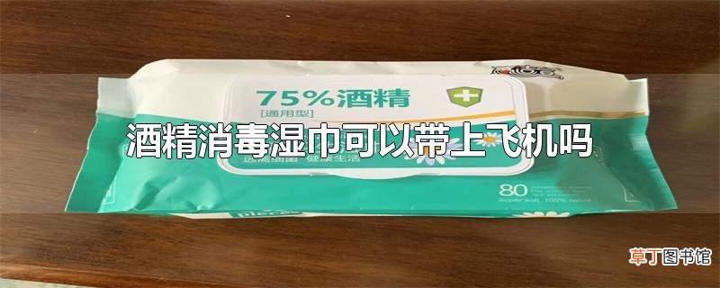 酒精消毒湿巾可以带上飞机吗