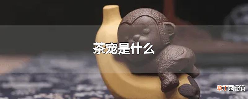 茶宠是什么