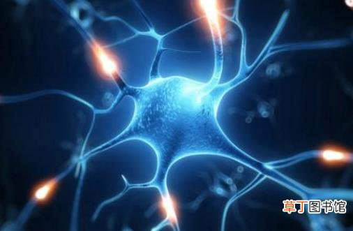 癫痫其实并不可怕 抽搐呕吐预示着癫痫症可能要发作