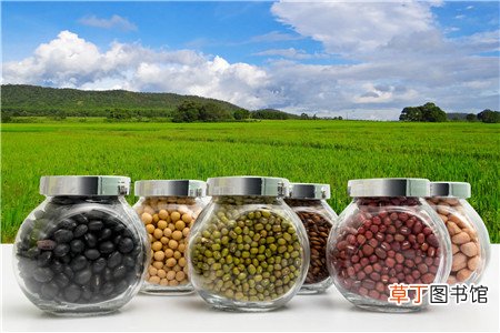 子宫内膜炎可以吃黄豆吗