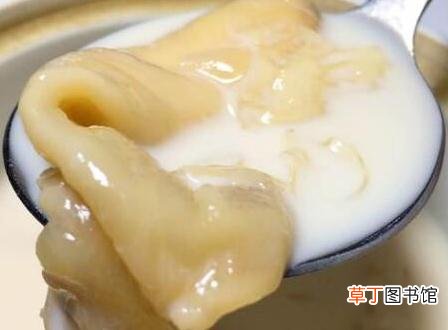 备孕吃花胶的好处